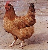 2009-06-15 13.24.21-1