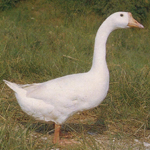 2009-06-15 13.24.50-2