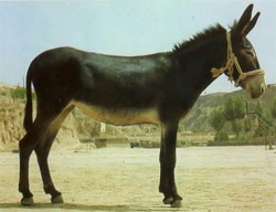 2009-06-15 13.24.51-1