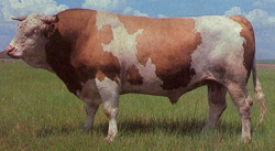 2009-06-15 13.25.01-3