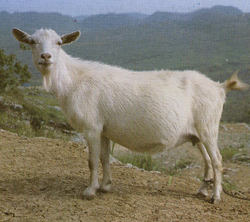 2009-06-15 13.25.52-3