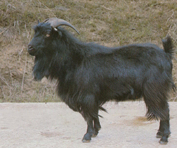 2009-06-15 13.25.56-4