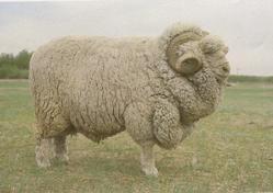 2009-06-15 13.26.24-2