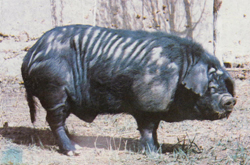 2009-06-15 13.26.56-3