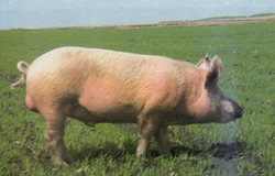 2009-06-15 13.27.04-4