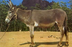 2009-06-15 13.27.11-3