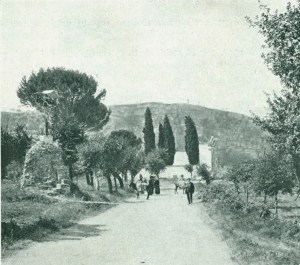 1796554_637345762980617_764030457_n.jpg santa clementina