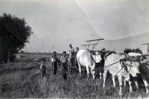 885883_1525228441047006_5585974207611751617_o