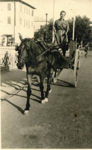 giuseppe di iorio 1938