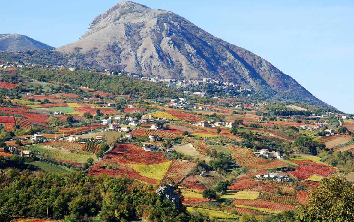 Foto di Mario Pedicini- Torrecuso.
